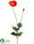 Poppy Spray - Flame - Pack of 12