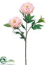 Silk Plants Direct Peony Spray - Pink Soft - Pack of 12