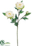 Silk Plants Direct Peony Spray - White Green - Pack of 12