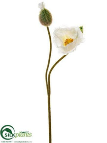 Poppy Spray - Cream - Pack of 12
