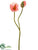 Silk Plants Direct Poppy Spray - Cream - Pack of 12