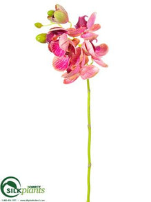 Phalaenopsis Orchid Spray - Orchid - Pack of 12