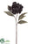 Peony Spray - Black - Pack of 12