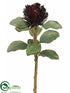 Silk Plants Direct Needle Protea Spray - Eggplant - Pack of 12