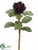 Needle Protea Spray - Eggplant - Pack of 12