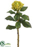 Silk Plants Direct Needle Protea Spray - Green - Pack of 12