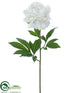 Silk Plants Direct Peony Spray - White - Pack of 12