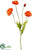 Poppy Spray - Flame - Pack of 12