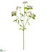 Silk Plants Direct Evening Primrose Spray - Blush - Pack of 12