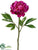 Peony Spray - Beauty Two Tone - Pack of 12