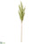 Pampas Grass Spray - Green - Pack of 12