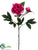 Peony Spray - Fuchsia - Pack of 12