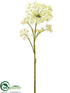 Silk Plants Direct Parsnip Spray - Cream Green - Pack of 4