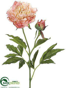 Peony Spray - Salmon Peach - Pack of 12