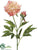 Peony Spray - Salmon Peach - Pack of 12