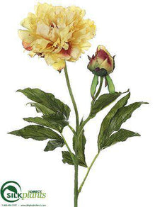 Peony Spray - Yellow - Pack of 12