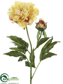 Peony Spray - Yellow - Pack of 12