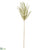 Phragmites Grass Blossom Spray - Green - Pack of 12