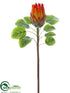 Silk Plants Direct Protea Spray - Orange - Pack of 12