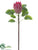 Protea Spray - Pink - Pack of 12