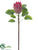 Protea Spray - Pink - Pack of 12