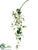 Hanging Petunia Spray - Cream Green - Pack of 6