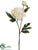 Paper Peony Spray - Cream - Pack of 12