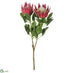 Silk Plants Direct King Protea Spray - Beauty - Pack of 6