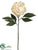 Peony Spray - Beige Two Tone - Pack of 12