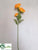 Poppy Spray - Orange - Pack of 12