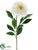 Peony Spray - White - Pack of 12