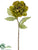 Peony Spray - Olive Green - Pack of 12