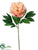 Peony Spray - Peach Coral - Pack of 12