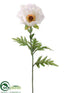 Silk Plants Direct Poppy Spray - Cream - Pack of 12