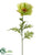 Poppy Spray - Green - Pack of 12