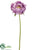 Peony Spray - Lavender Pearl - Pack of 12