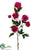 Peony Spray - Beauty - Pack of 12