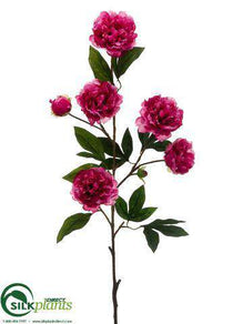 Peony Spray - Beauty - Pack of 12