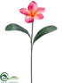 Silk Plants Direct Plumeria Spray - Beauty - Pack of 12