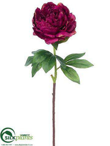 Peony Spray - Burgundy Two Tone - Pack of 24