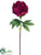 Peony Spray - Burgundy Two Tone - Pack of 24