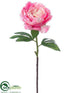 Silk Plants Direct Peony Spray - Pink Cream - Pack of 24