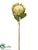 Protea Spray - Green - Pack of 12