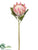 Protea Spray - Pink - Pack of 12