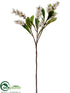 Silk Plants Direct Pieris Spray - White Gray - Pack of 12
