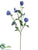 Pansy Spray - Helio - Pack of 12