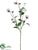 Pansy Spray - White Purple - Pack of 12