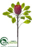 Silk Plants Direct Protea Spray - Mauve - Pack of 12
