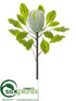 Silk Plants Direct Protea Spray - White - Pack of 12
