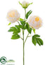 Silk Plants Direct Peony Spray - Peach - Pack of 12